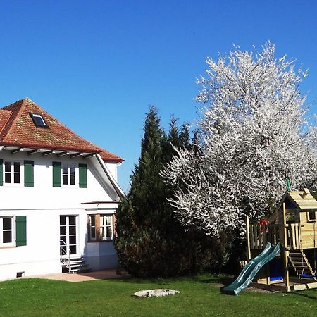 Schwarzwaldhaus24 - Ferienhaus Mit Sauna, Whirlpool Und Kamin Gemeinde Gemeinde Aichhalden Εξωτερικό φωτογραφία